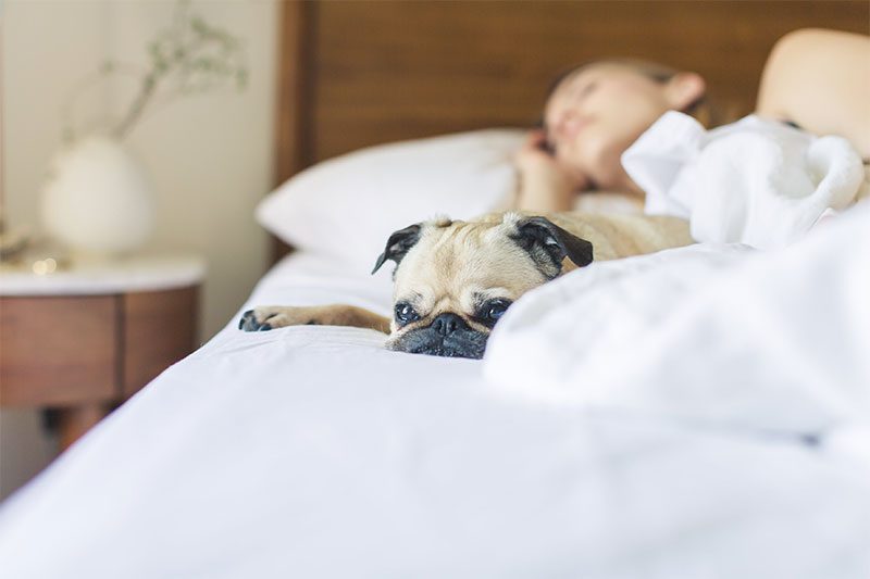 What actually is beauty sleep?